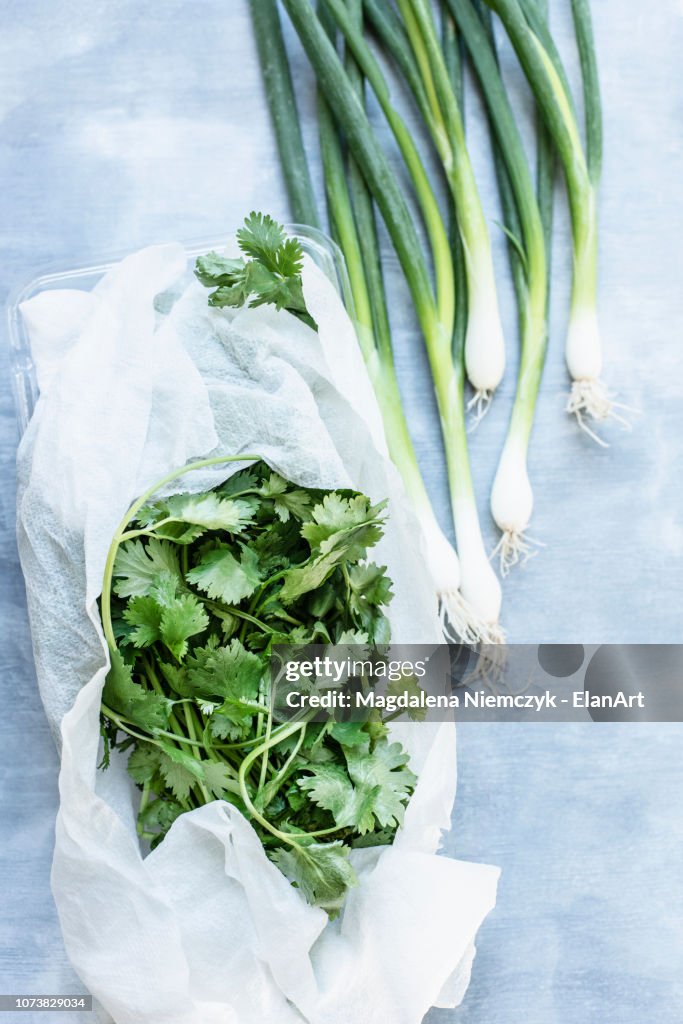 Fresh coriander wrapped in paper towel and green onions