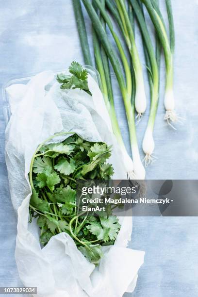 fresh coriander wrapped in paper towel and green onions - kitchen paper stockfoto's en -beelden