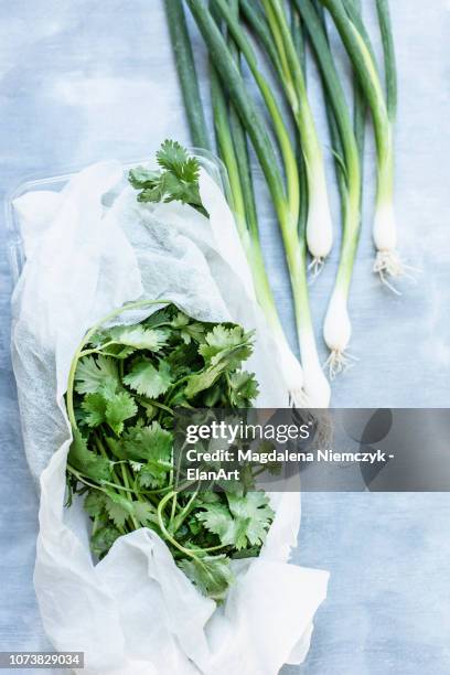 fresh coriander wrapped in paper towel and green onions - kitchen paper stock pictures, royalty-free photos & images