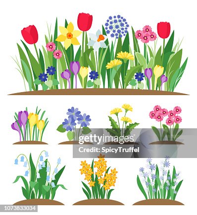 Spring Planting Free Graphics Spring Garden Flowers Grass And Plant Early Spring Flowering Vector ...