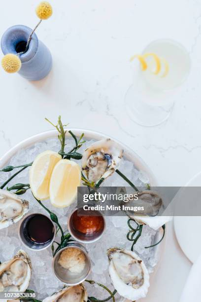 platter of oysters on ice with lemons and sauces - oyster stock pictures, royalty-free photos & images