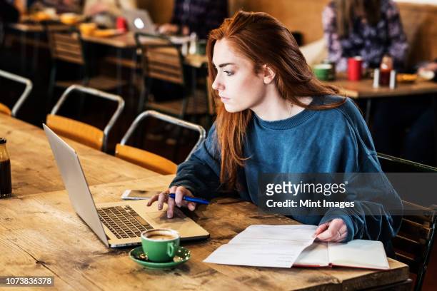 young woman with long red hair sitting at table, working on laptop computer. - internet cafe stock pictures, royalty-free photos & images