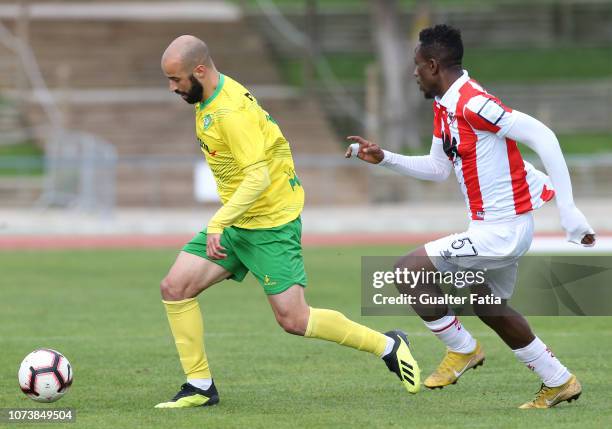 Dasse Photos and Premium High Res Pictures Getty Images