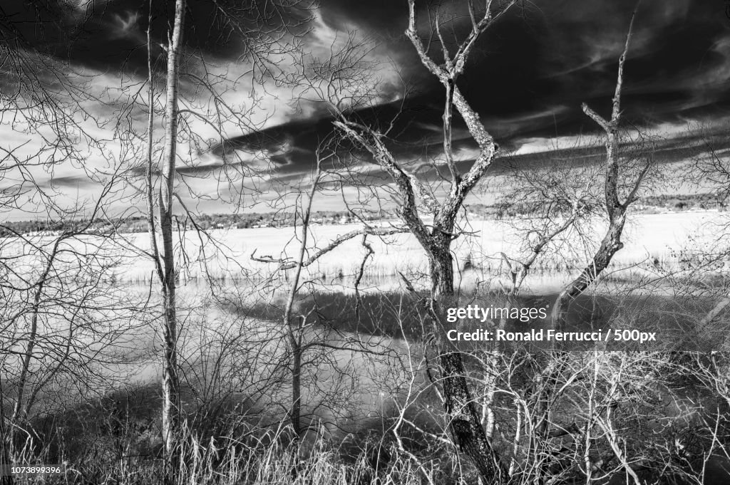 IR Marsh