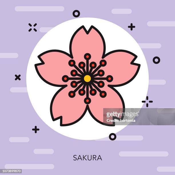 ilustrações, clipart, desenhos animados e ícones de ícone de japão de linha fina de sakura - cherry blossom