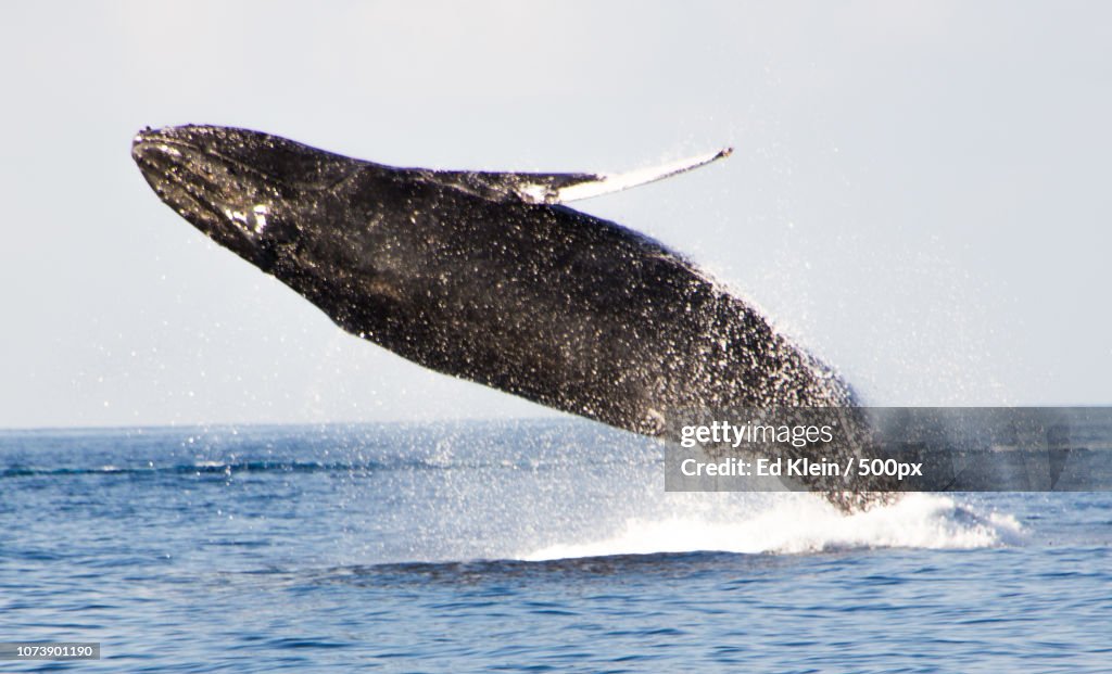 Making a splash