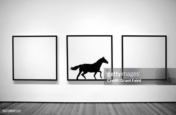horse running inside picture frame. - vancouver art gallery stock pictures, royalty-free photos & images