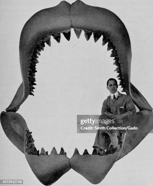 Photograph of a man sitting in the jaws of Carcharodon Megalodon, from the book "Guide leaflet" by American Museum of Natural History, 1901. Courtesy...