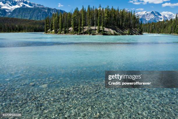 athabasca river in the canadian rocky mountains of jasper national park, alberta, canada - athabasca river stock pictures, royalty-free photos & images