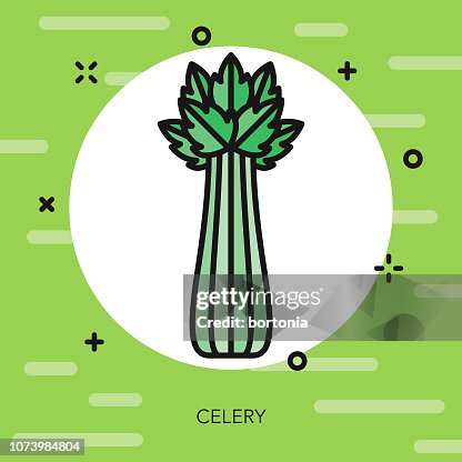 芹菜細線蔬菜圖示 芹菜細線蔬菜圖示