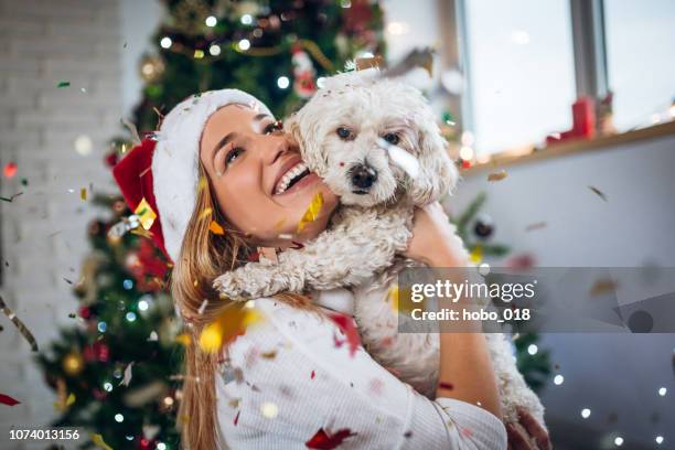 best christmas present ever - christmas puppy stock pictures, royalty-free photos & images