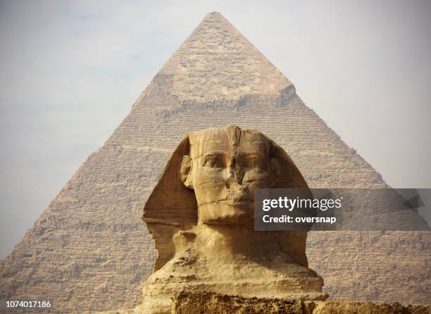 the great sphinx of giza - sphinx stock pictures, royalty-free photos & images