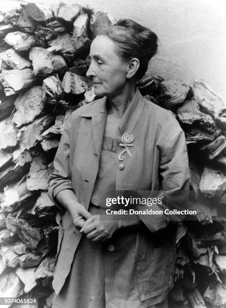 Portrait of Georgia O'Keefe in New Mexico