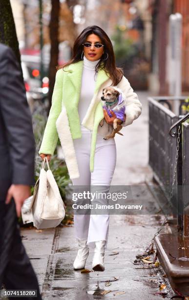 Priyanka Chopra seen on the streets of Manhattan on December 16, 2018 in New York City.