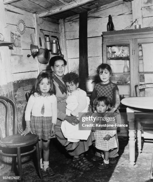 Establishment Of The Algerian Families At Marseille In France On 1956