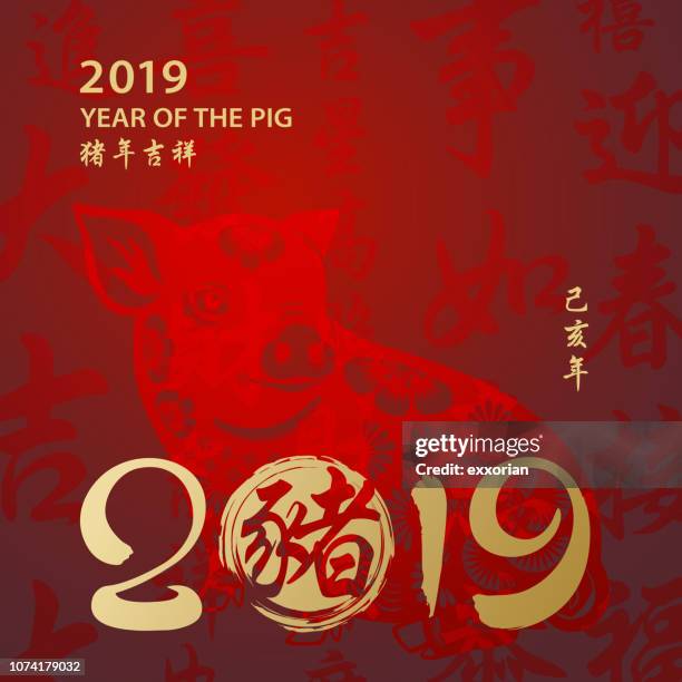 year of the pig 2019 calligraphy - year of the pig stock illustrations