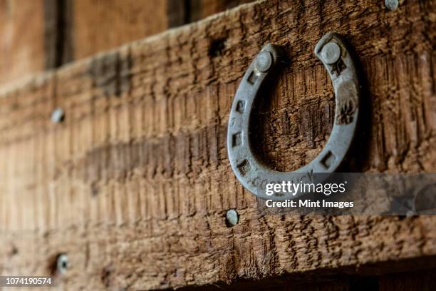 a metal horseshoe nailed onto a wooden beam. - horseshoe stock pictures, royalty-free photos & images