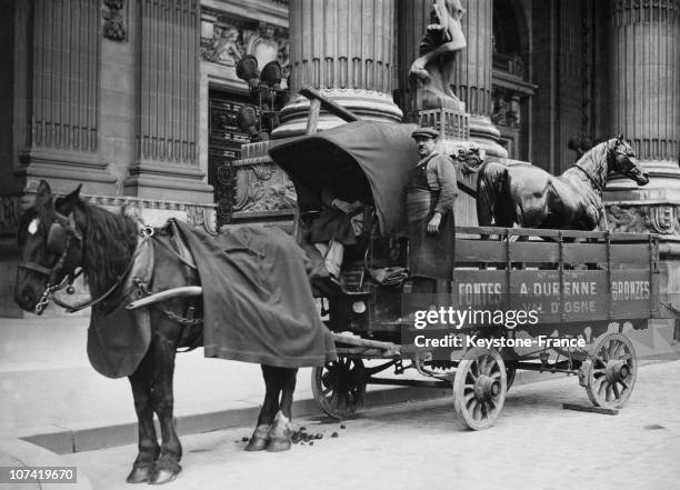 Grand Palais, Horse Contest In Paris On April 15Th 1935