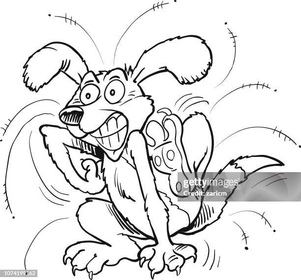 dog with fleas - vector illustration - flea stock illustrations
