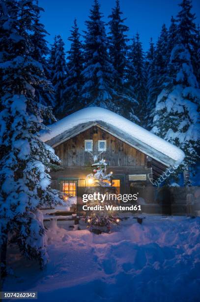 austria, altenmarkt-zauchensee, christmas tree at illuminated wooden house in snow at night - winter hut stock pictures, royalty-free photos & images