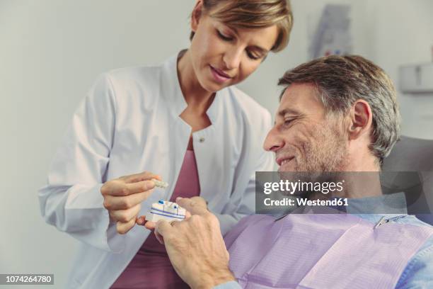 dentist explaining dental bridge on a tooth model to patient - gebiss mensch zähne stock-fotos und bilder