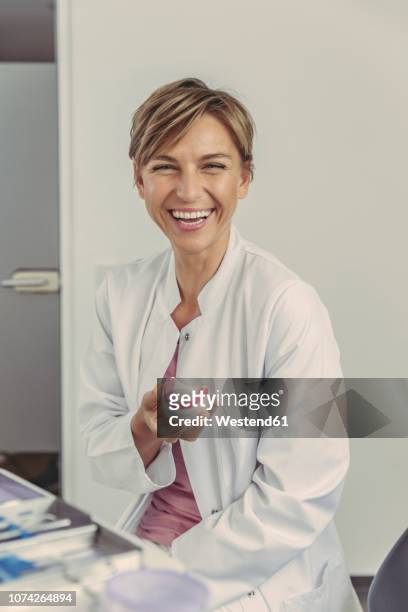 female dentist holding tooth model - gebiss mensch zähne stock-fotos und bilder