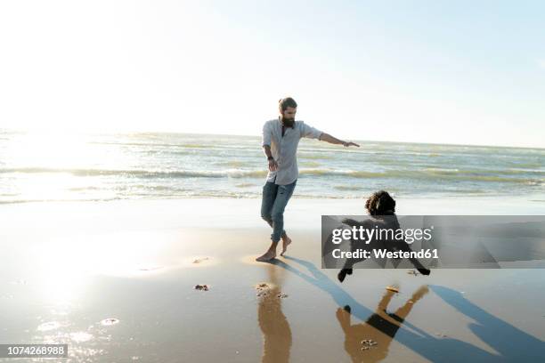 young man running and playing with his dog on the beach - chien et maitre photos et images de collection