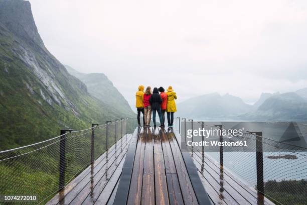 norway, senja island, rear view of friends standing on an observation deck at the coast - high color image stock pictures, royalty-free photos & images