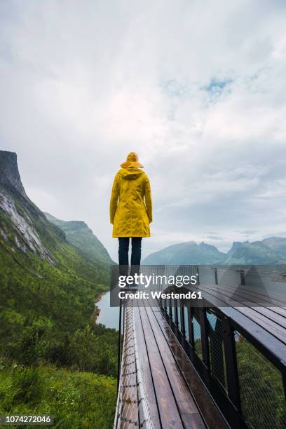 norway, senja island, rear view of man standing on an observation deck at the coast - ominous mountains stock pictures, royalty-free photos & images