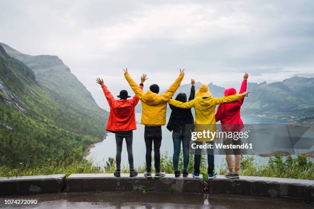 norway, senja island, rear view of cheering friends standing on an observation point at the coast - group cheering stock pictures, royalty-free photos & images