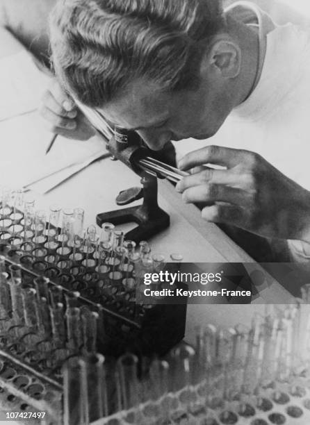 Medical Experiments In Germany On January 6Th 1944