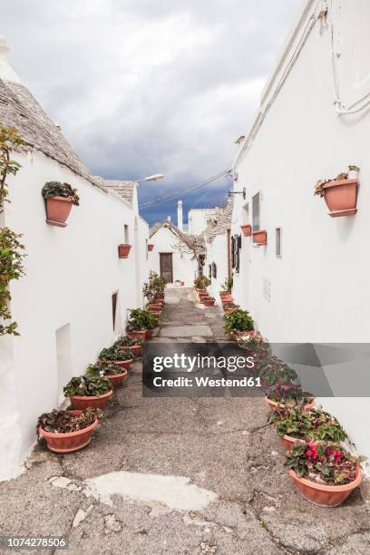 italy, apulia, alberobello, view to alley with rows of flowerpots - alberobello stock-fotos und bilder