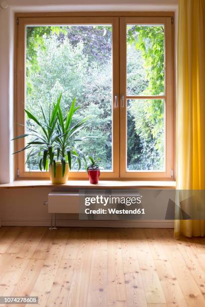 potted plants at window sill - yoga studio stock pictures, royalty-free photos & images