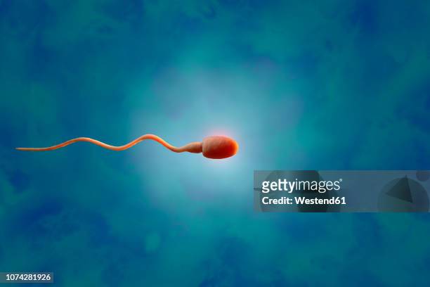 sperm, 3d rendering - sperm stock illustrations