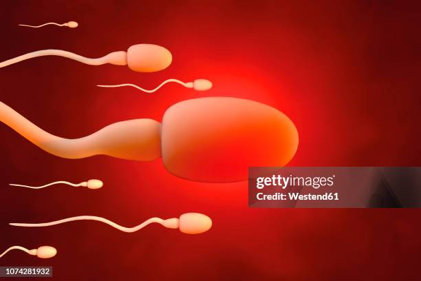 sperm cells trying to reach an egg cell, 3d rendering - drug development stock illustrations