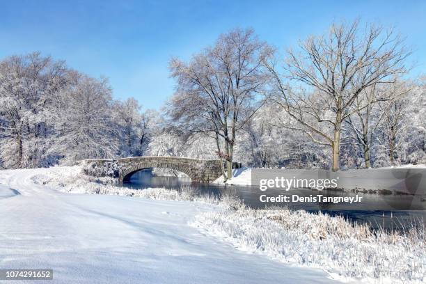 invierno en franklin park de boston - new england usa fotografías e imágenes de stock