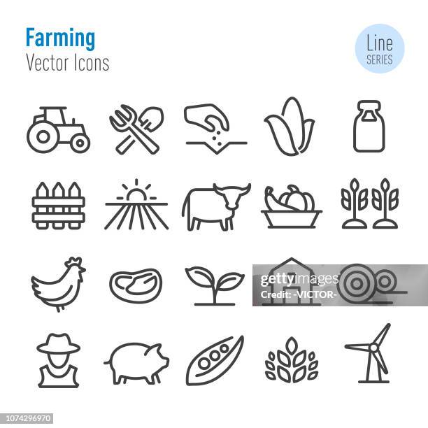 landwirtschaft-icons - vektor-line-serie - huhn geflügel stock-grafiken, -clipart, -cartoons und -symbole