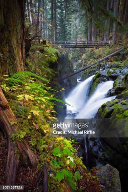 sol duc falls waterfall and wooden bridge with autumn color in the foreground, olympic national park, usa - nord ouest photos et images de collection