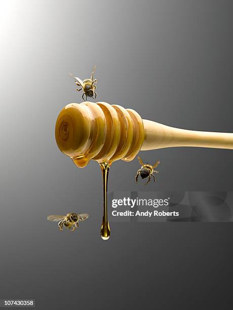 bees flying around honey dipper dripping with honey - miel photos et images de collection