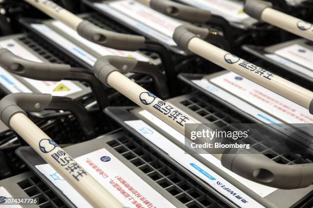 Shopping carts stand inside an Alibaba Group Holding Ltd. Hema store during a government-organized tour in Hangzhou, China, on Wednesday, Dec. 12,...