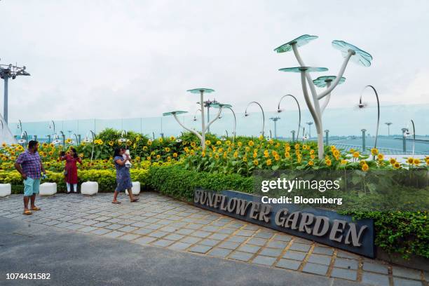 Travelers walk through the Sunflower Garden at Terminal 2 of Changi Airport in Singapore, on Thursday, Dec. 13, 2018. Singapore's Changi Airport,...