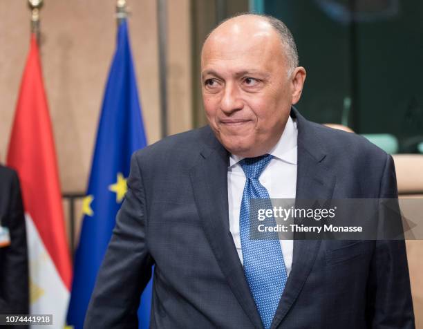 Egyptian Minister for foreign affairs Sameh Shoukry arrives for an EU Egypt Association council on December 20, 2018 in Brussels, Belgium.