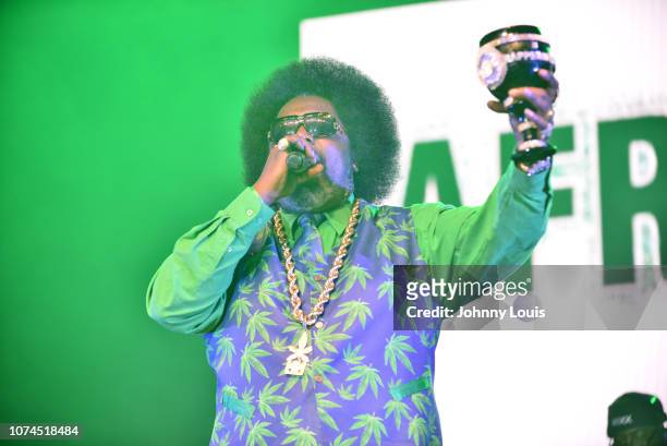 Afroman performs on stage at the Snoop Dogg Puff Puff Pass Tour at Hard Rock Event Center in Hollywood, Fla on December 20, 2018 in Hollywood,...