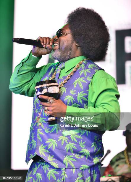 Afroman performs on stage at the Snoop Dogg Puff Puff Pass Tour at Hard Rock Event Center in Hollywood, Fla on December 20, 2018 in Hollywood,...