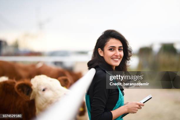 joven granjero de sexo femenino con una tableta digital - hereford cattle fotografías e imágenes de stock