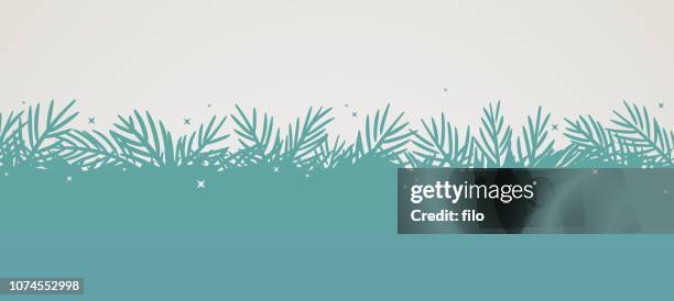 evergreen pine tree background - tree farm stock illustrations