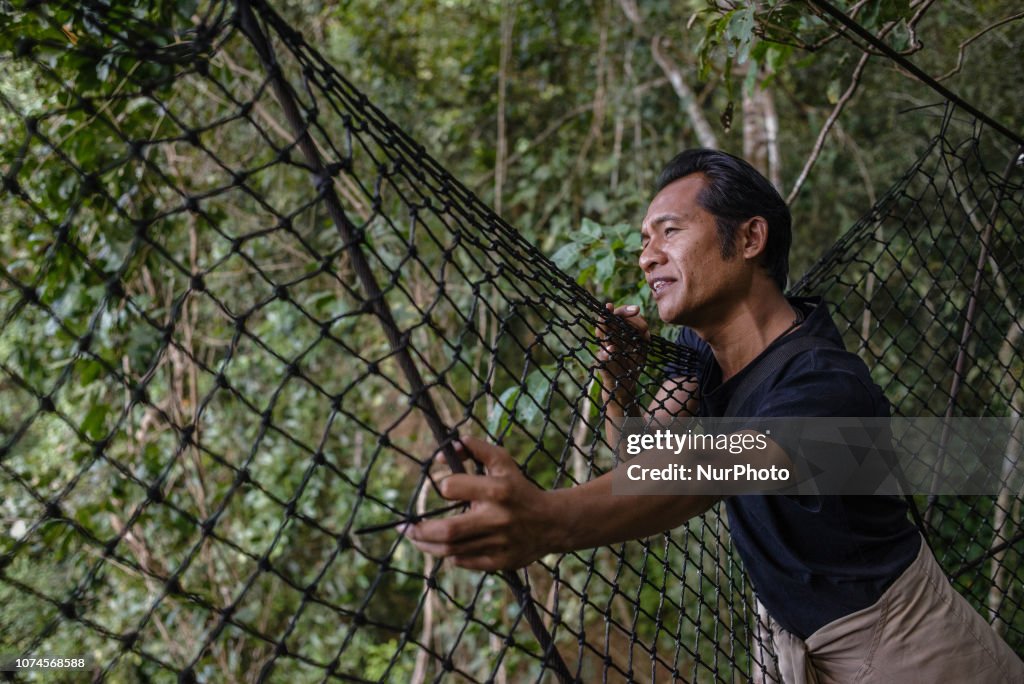 The Elephant Conservation Center In Laos