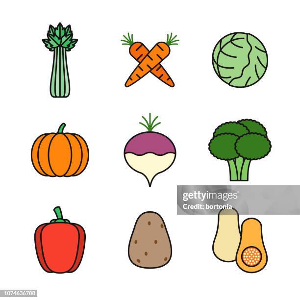 illustrations, cliparts, dessins animés et icônes de jeu d’icônes de légumes fine ligne - butternut