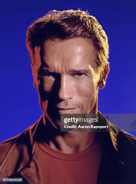 Arnold Schwarzenegger 1993 Photos and Premium High Res Pictures - Getty