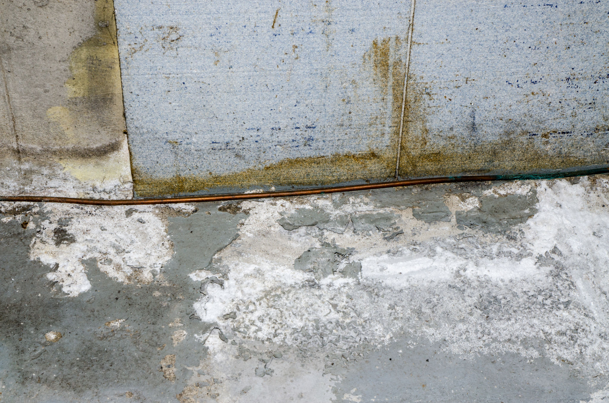 efflorescence walls
